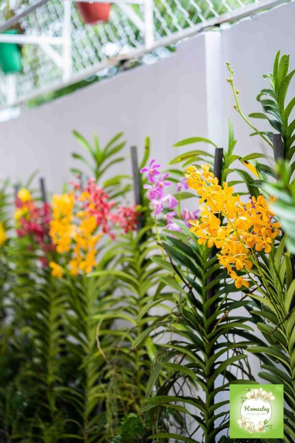 Can Tho Orchid Garden Homestay Exterior foto