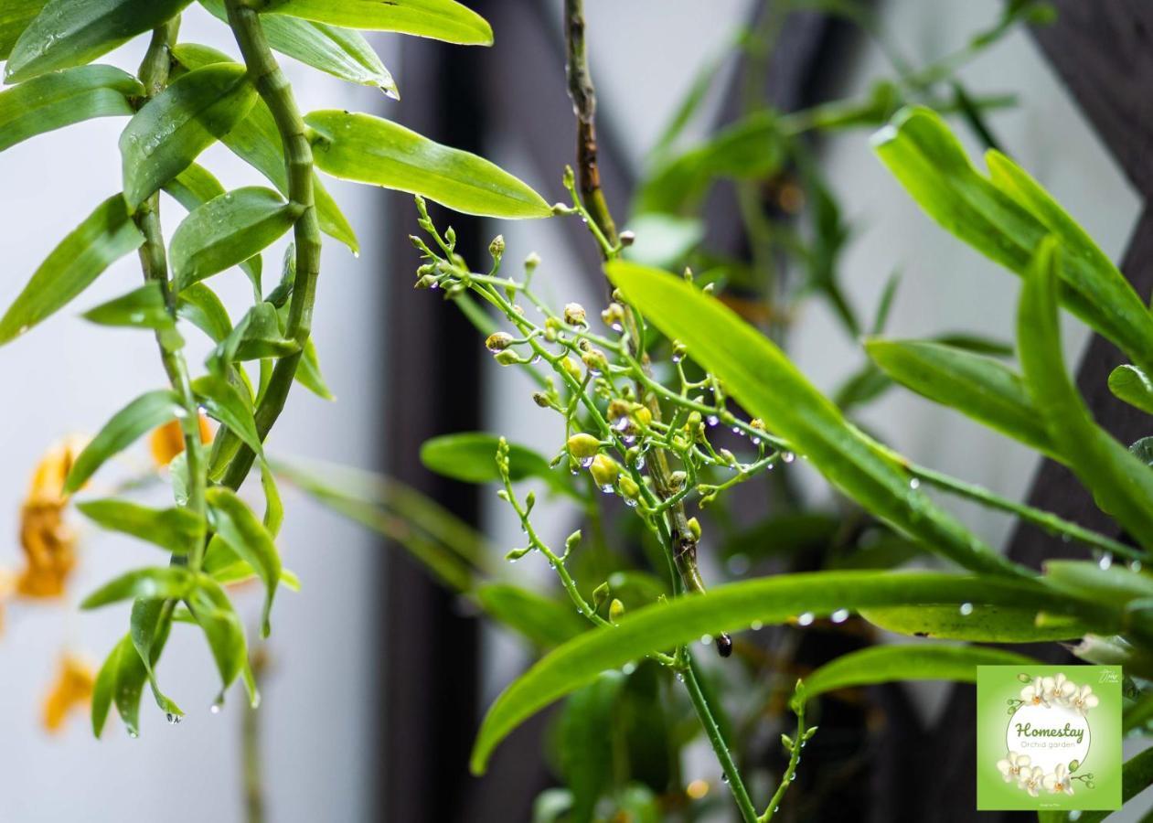 Can Tho Orchid Garden Homestay Exterior foto
